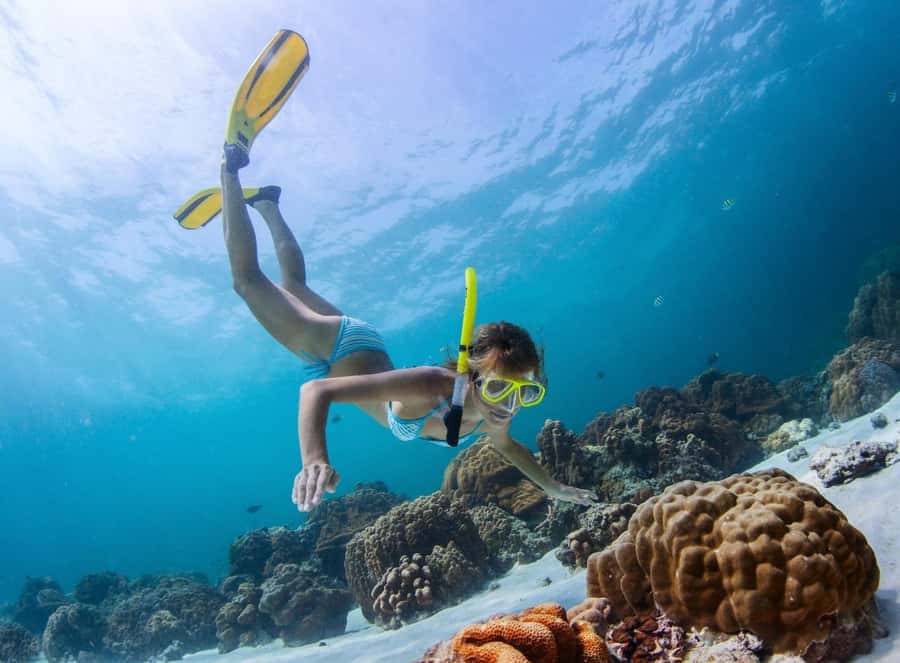 Sharm El Sheikh: Luxury boat Cruise with Snorkeling & Lunch - Lunch with a view of the Red Sea