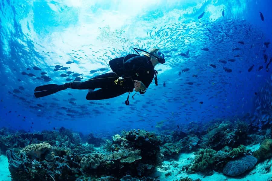 Sharm El Sheikh: Luxury boat Cruise with Snorkeling & Lunch - The second swim and the long ride home