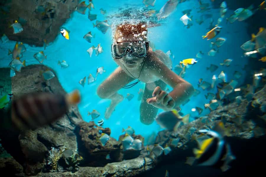 Sharm El Sheikh: Luxury boat Cruise with Snorkeling & Lunch - Who should book this cruise?
