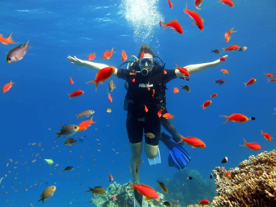 Sharm El Sheikh: Ras Mohamed Cruise with Snorkeling & Lunch - White Island and its tide-dependent visit