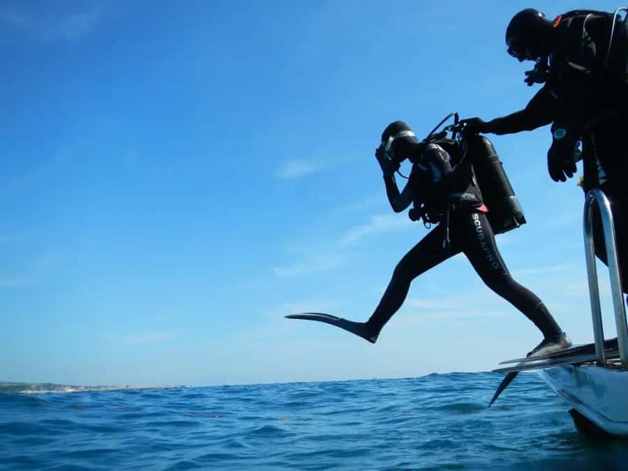 Sharm El Sheikh: Ras Mohamed & White Island Dive & Snorkel - Key points to know before booking