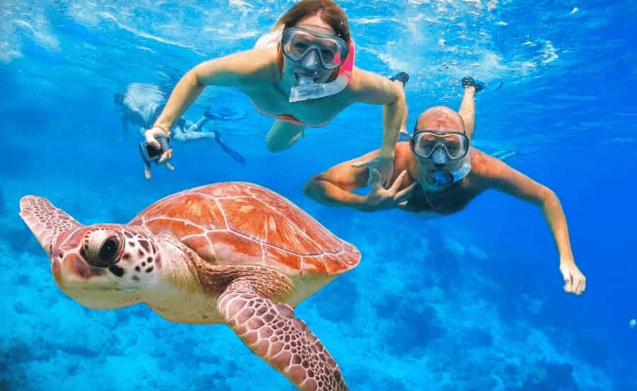 Sharm El Sheikh: Ras Mohamed & White Island Dive & Snorkel - The safety briefing and beginner scuba session