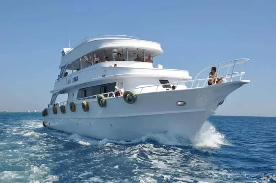 Sharm El Sheikh: Ras Mohamed & White Island Dive & Snorkel - White Island, a sandbank in the Red Sea