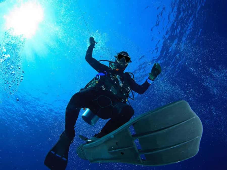 Sharm El Sheikh: Ras Mohamed & White Island Dive & Snorkel - Crew support makes this suitable for first-timers