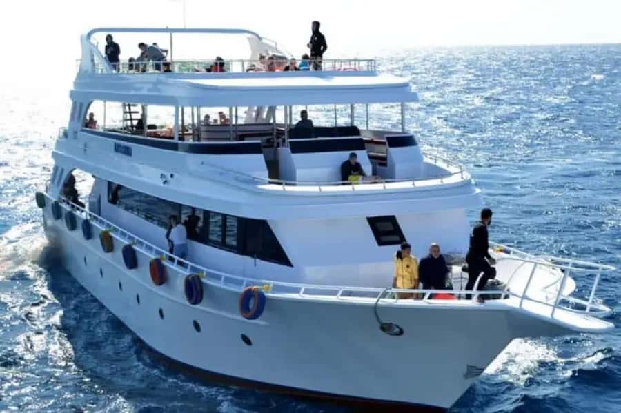 Sharm El Sheikh: Ras Mohamed & White Island Dive & Snorkel - Hotel pickup and the ride to the marina