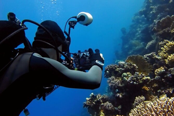 Sharm El Sheikh: Ras Mohamed, White Island, Snorkel and Diving - Leaving Sharm El Sheikh for the open Red Sea