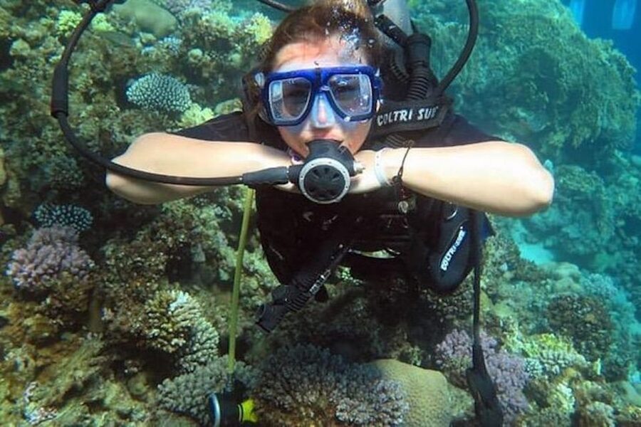 Sharm El Sheikh: Ras Mohamed & White Island Snorkel or Dive - Leaving Sharm El Sheikh for the Red Sea