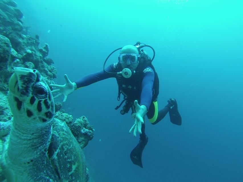 Sharm El Sheikh: Ras Mohamed & White Island Snorkel or Dive - What makes White Island worth the extra stop