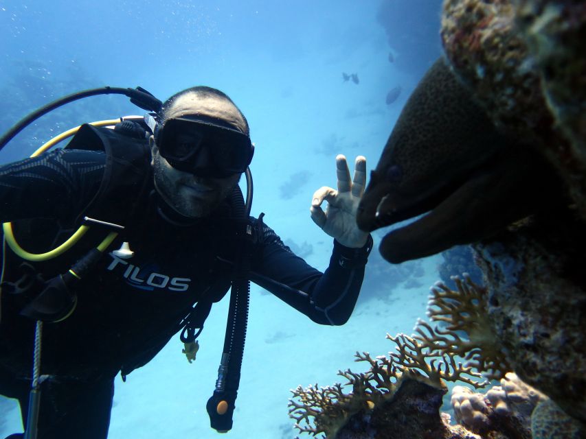 Sharm El Sheikh: Ras Mohamed & White Island Snorkel or Dive - Guides, languages, and the human side of the trip