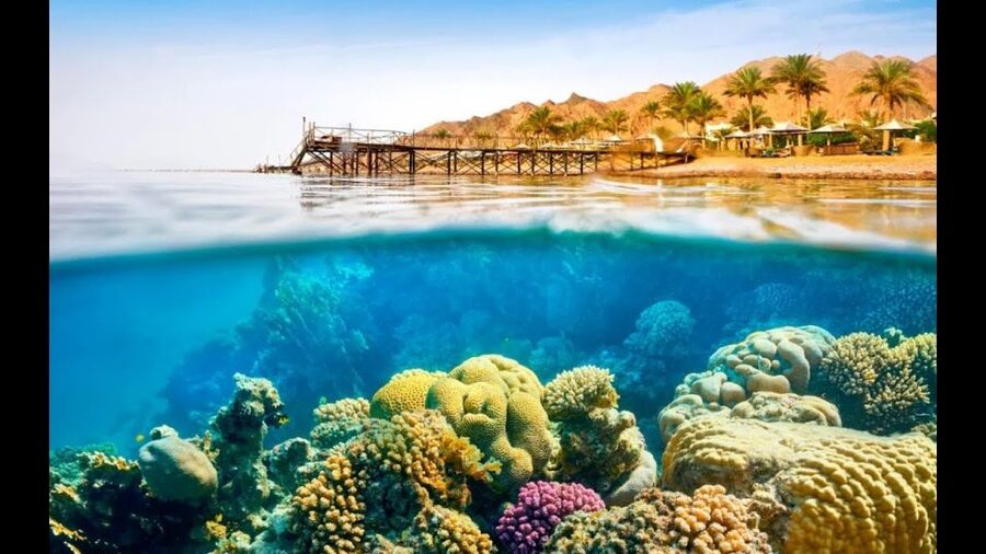 Sharm El-Sheikh: Ras Mohamed & White Island Snorkeling Trip - An optional first scuba experience