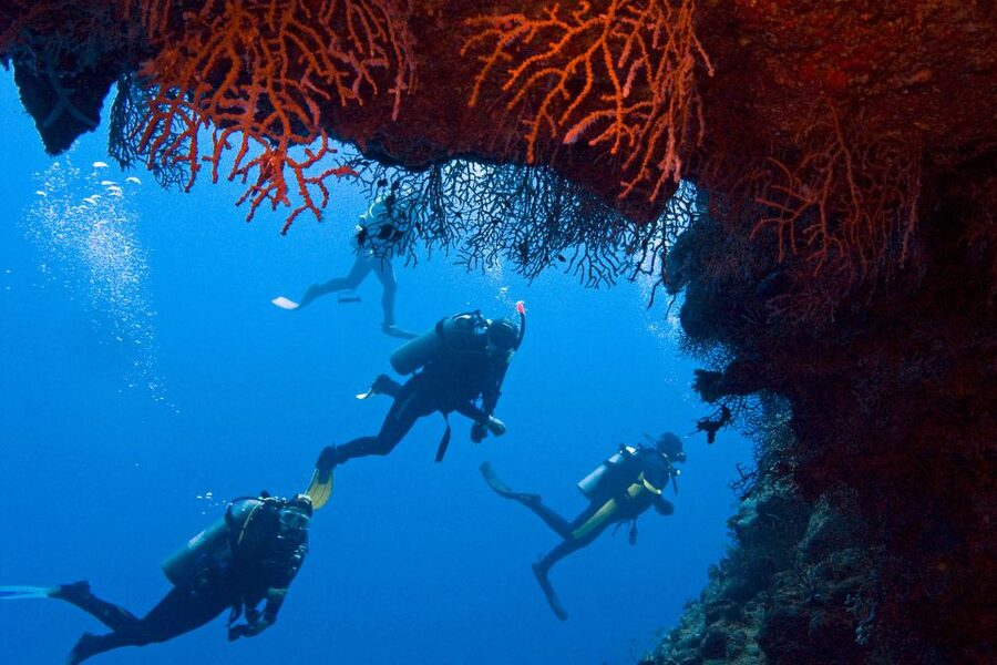 Sharm El-Sheikh: Ras Mohamed & White Island Snorkeling Trip - White Island, a sandbar between two gulfs