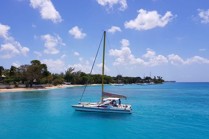 Shasa private catamran sailing cruise, Snorkel with turtles. - Key points at a glance