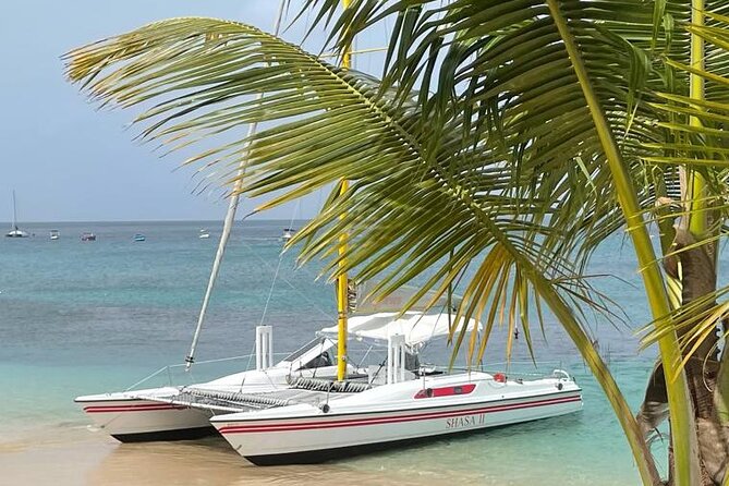 Shasa private catamran sailing cruise, Snorkel with turtles. - Captain Jason, Crew Care, and the Human Side