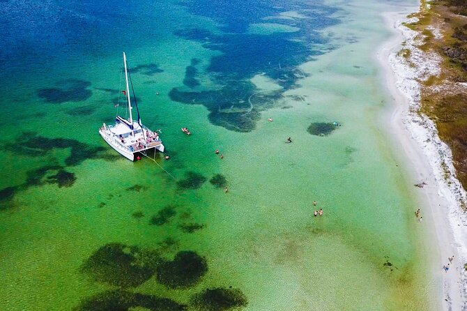 Shell Island Snorkel and Dolphin Catamaran Cruise with Island Time - What makes this cruise worth your time