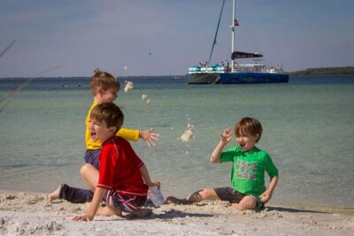 Shell Island Snorkel and Dolphin Catamaran Cruise with Island Time