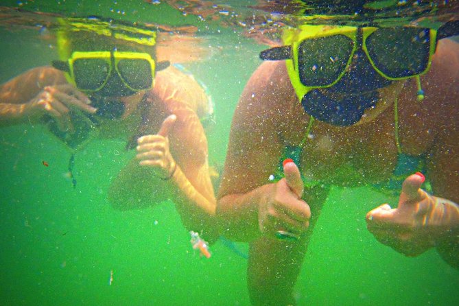 Shell Island Snorkel and Dolphin Catamaran Cruise with Island Time - Price, drinks, and what the $57.59 covers