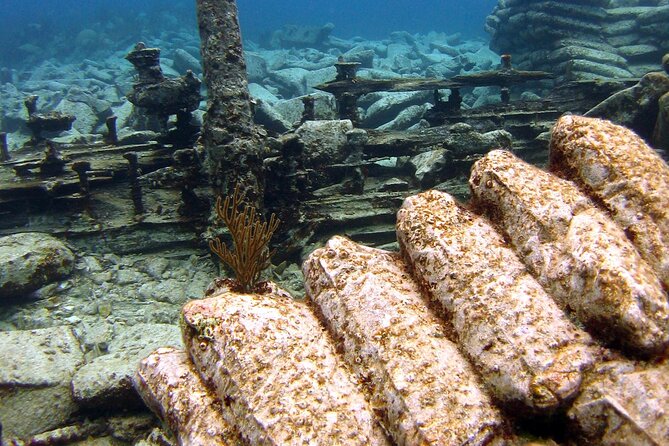 Shipwreck Snorkel in Bermuda - Crew service makes the difference