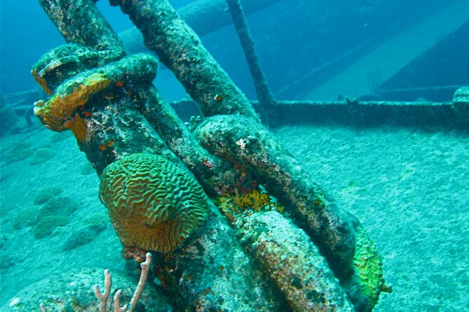 Shipwreck Snorkel in Bermuda - Weather can change the plan