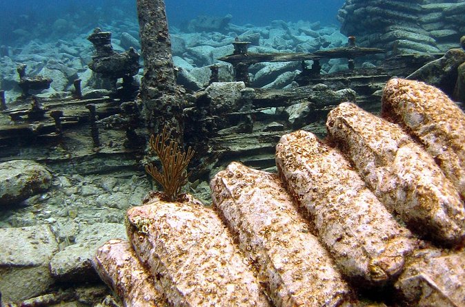 Shipwreck Snorkel in Bermuda - Is $105 a good value?