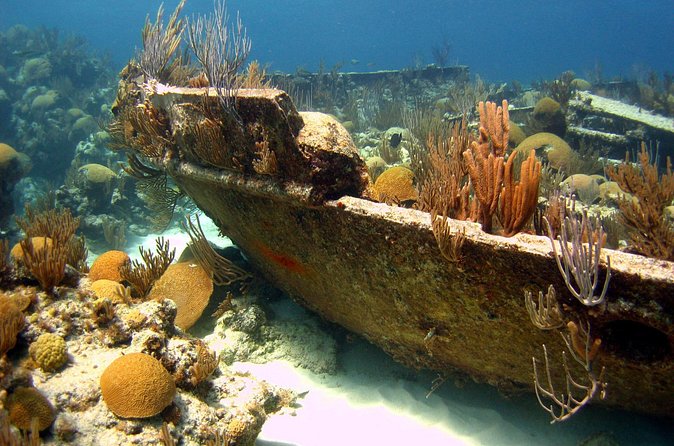 Shipwreck Snorkel in Bermuda - FAQ
