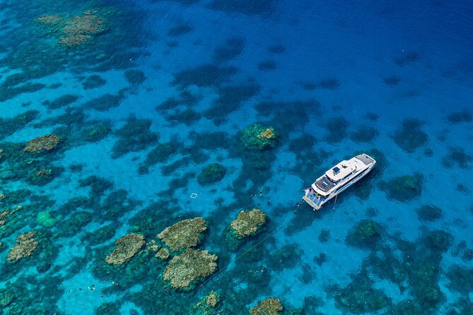 Silverswift Dive and Snorkel Great Barrier Reef Cruise - Key points at a glance