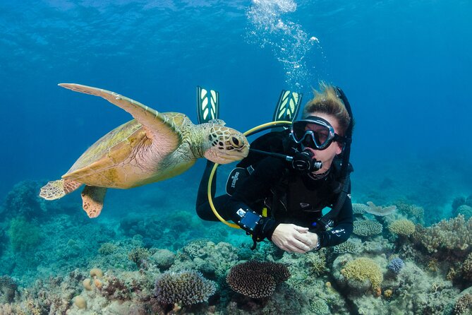 Silverswift Dive and Snorkel Great Barrier Reef Cruise - What the day feels like on the water