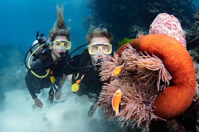 Silverswift Dive and Snorkel Great Barrier Reef Cruise - Who should book this Cairns reef trip