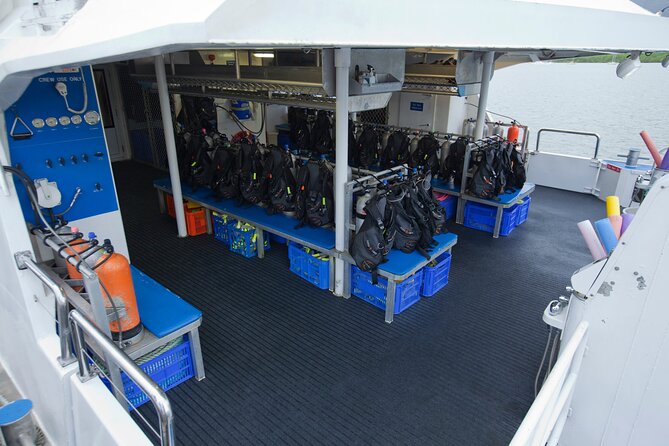 Silverswift Dive and Snorkel Great Barrier Reef Cruise - Should you book Silverswift?