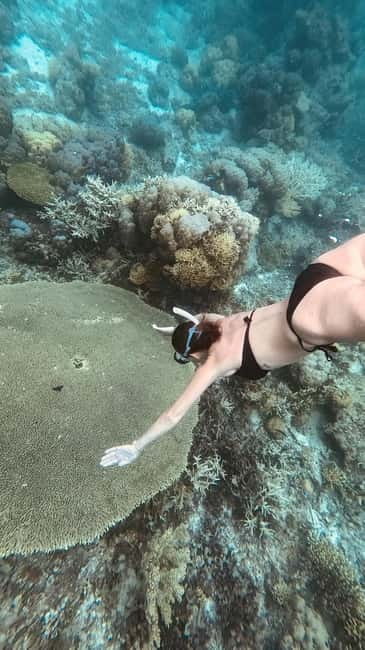 Siquijor: Jeepney Island Tour with Snorkeling - A full day around Siquijor in an open Jeepney
