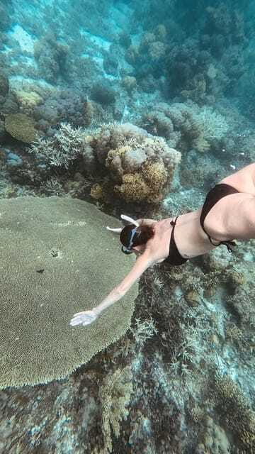 Siquijor: Jeepney Island Tour with Snorkeling - The guide and driver make a real difference