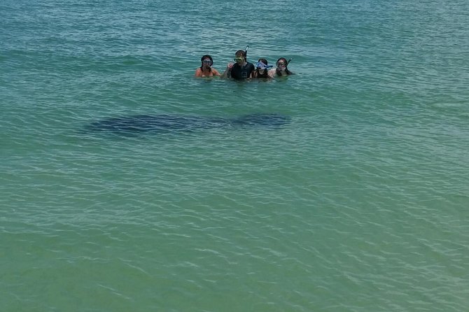 Small Group 2 Hour Dolphin Cruise with Snorkeling to Shell Key - Weather, cancellations, and practical limits