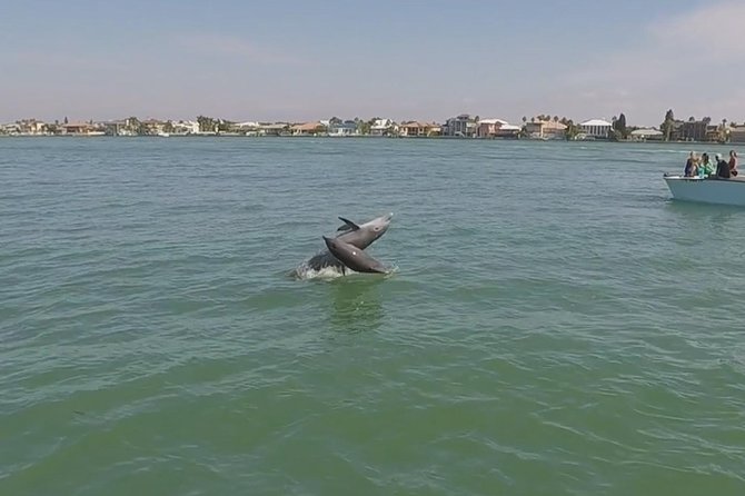 Small Group 2 Hour Dolphin Cruise with Snorkeling to Shell Key - Who will enjoy this cruise most