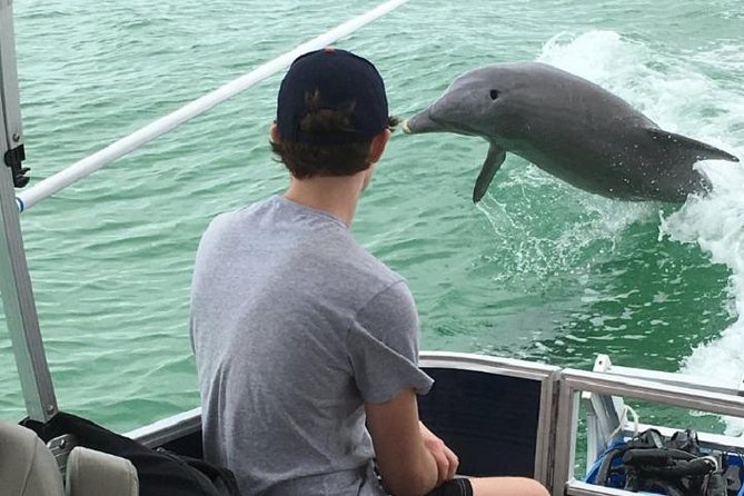 Small Group 2 Hour Dolphin Cruise with Snorkeling to Shell Key - Shell Key offers shells, shallow water, and a change of pace