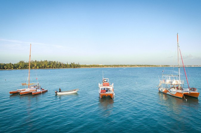 Small-Group Cruising and Snorkeling Catamaran Tour - Who should book this Punta Cana catamaran trip?
