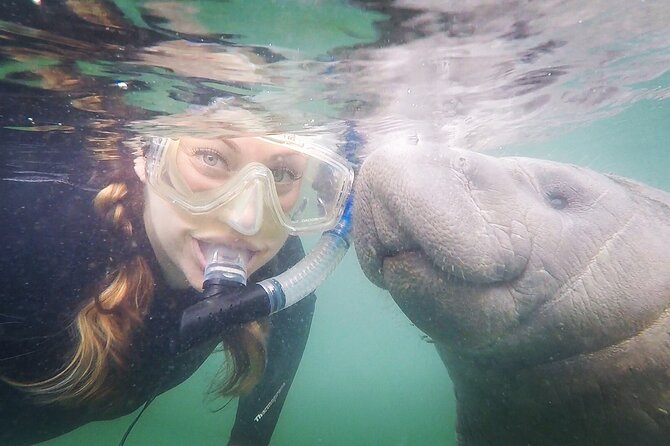 Small Group Manatee Snorkel Tour with In-Water Guide and Photographer - A short ride to Kings Bay and the springs