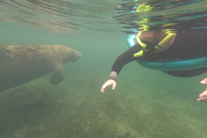 Small Group Manatee Snorkel Tour with In-Water Guide and Photographer - What the $89.99 price really covers