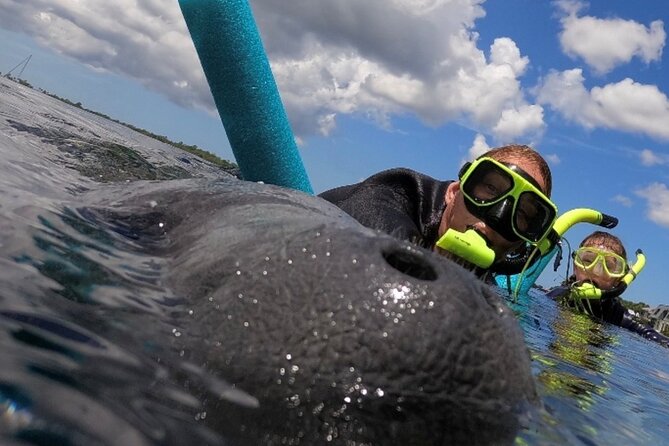Small Group Manatee Snorkel Tour with In-Water Guide and Photographer - Meeting the manatees in the water