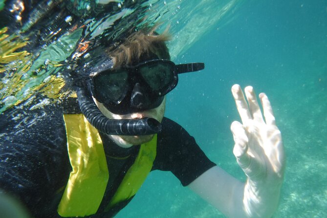 Small-Group Mesoamerican Barrier Reef Snorkeling in Puerto Morelos - What you may see beneath the surface
