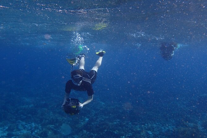Small-Group Sea Scooters Snorkel at Mangel Halto Beach in Aruba - Why Mangel Halto makes a good snorkeling base