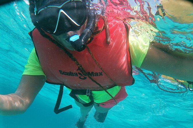 Small Group Snorkeling at Mangel Halto Aruba - The guides make the biggest difference