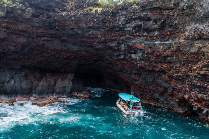Small Group Snorkeling Expedition South Kona - Why this South Kona trip works so well