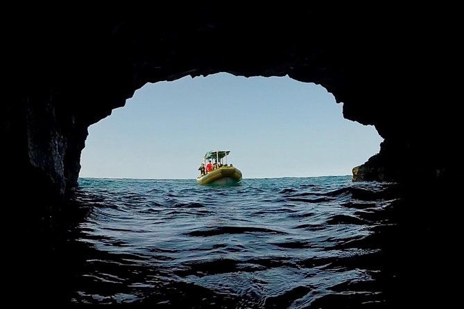 Small Group Snorkeling Expedition South Kona - Wildlife: wonderful possibilities, no guarantees