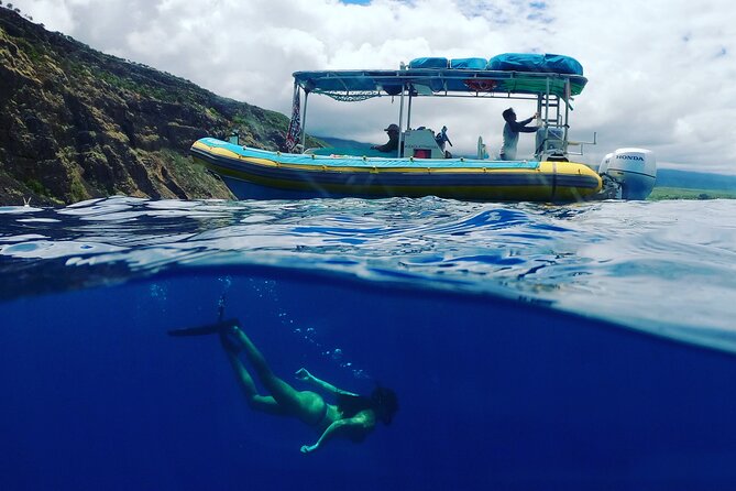 Small Group Snorkeling Expedition South Kona - Lunch, gear, and what you need to bring
