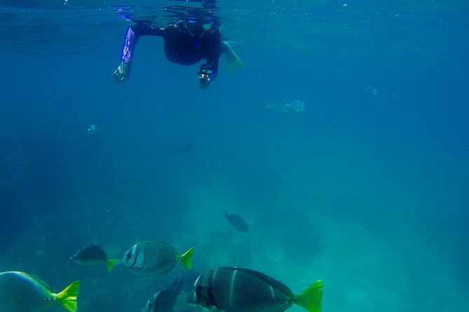 Snorkel Adventure and Hike to a Hidden Beach - Guides who make the outing work