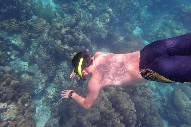Snorkel Adventure Sea Tour to Koh Rok and Koh Haa from Koh Lanta - Koh Rok’s beaches and protected waters