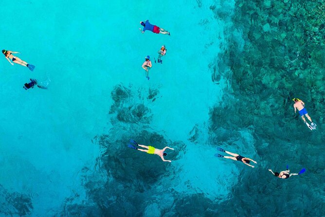 Snorkel and arch tour in los cabos - Pelican Rock and 30 to 40 minutes in the water