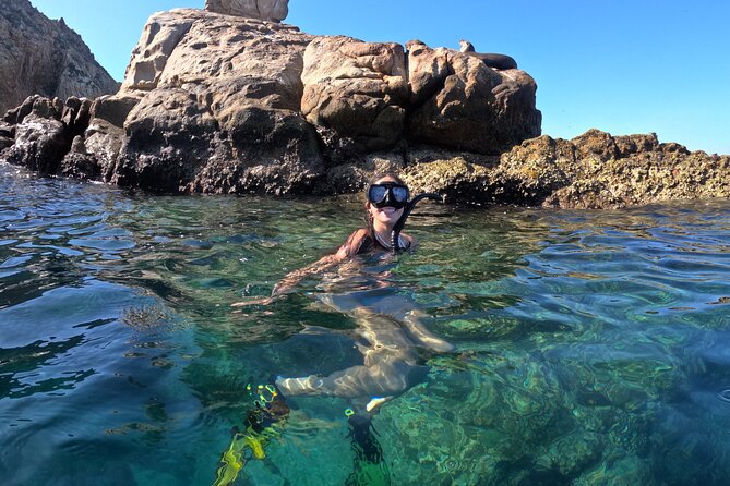 Snorkel and arch tour in los cabos - Leaving the marina and finding your guide