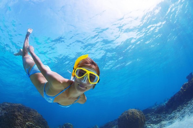 Snorkel and Beach Adventure Tour - A full day built around Curaçao’s west coast