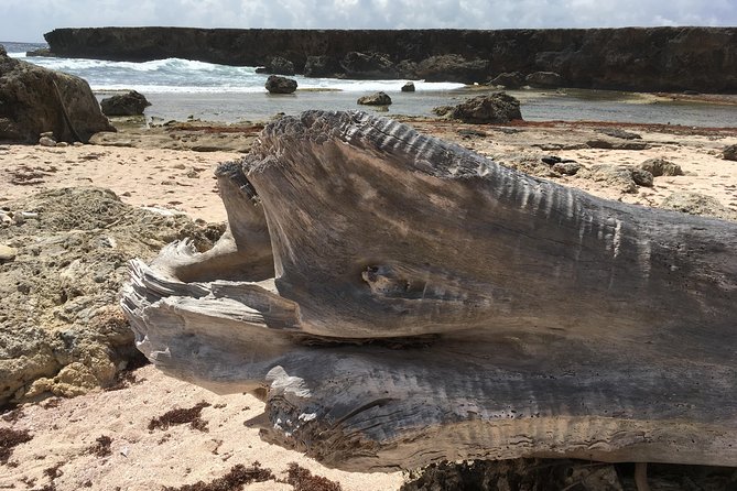Snorkel and Beach Adventure Tour - Shete Boka National Park: rough coast, caves, and blow holes