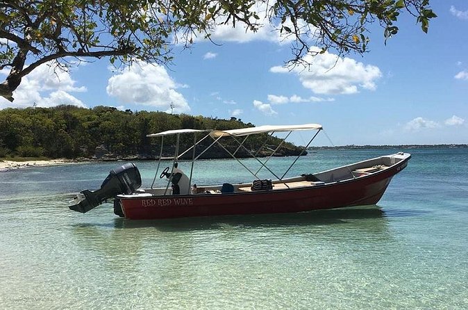 Snorkel and Exclusive Beach Exploration in Antigua - Local snacks, fresh pineapple, and rum punch